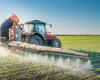 Doctors call for limiting the use of pesticides in agriculture; about 20,000 people die from severe forms of poisoning in the world every year