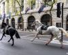 Runaway army horses injure four in central London