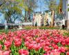 The snow has melted, the flowers have bloomed, the orchestra has prepared its instruments; The spring flower festival will start at Pakroja manor this weekend