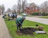 The spring tree planting cleanup has been completed