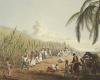 Portugal refuses to pay reparations to former slave colonies
