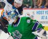 Shilov will guard the “Canucks” goal in the fourth match of the series, the media reports