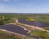 Latvia’s largest solar power plant was opened near Daugavpils