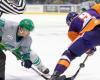 Everblades Vs. Solar Bears: ECHL Kelly Cup Playoffs South Division Finals