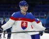 The number of NHL players in the national team of Latvia’s opponent, Slovakia, has already increased to eight – Hockey – Sportacentrs.com