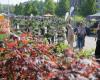 Plant Days in Jelgava will gather 200 merchants