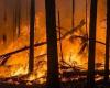 This year’s biggest forest fire has been extinguished in Valka region