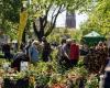 The Days of Latvian Plants will be held in Jelgava for the 15th time, where 200 traders will gather