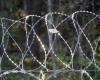 Border guards prevented the attempts of three people to illegally cross the Latvian-Belarusian border