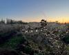 Farmers fight against frost; fruit growers hope that the losses will not be as big as last year / Article
