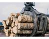 “Stiga RM” will complete the purchase of sawmill “Norupe” – Market news