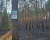 This year, the biggest forest fire in Valka region broke out due to careless actions
